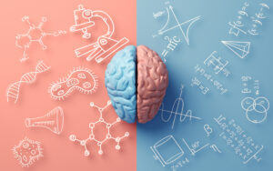 男性,女性,青色,ピンク