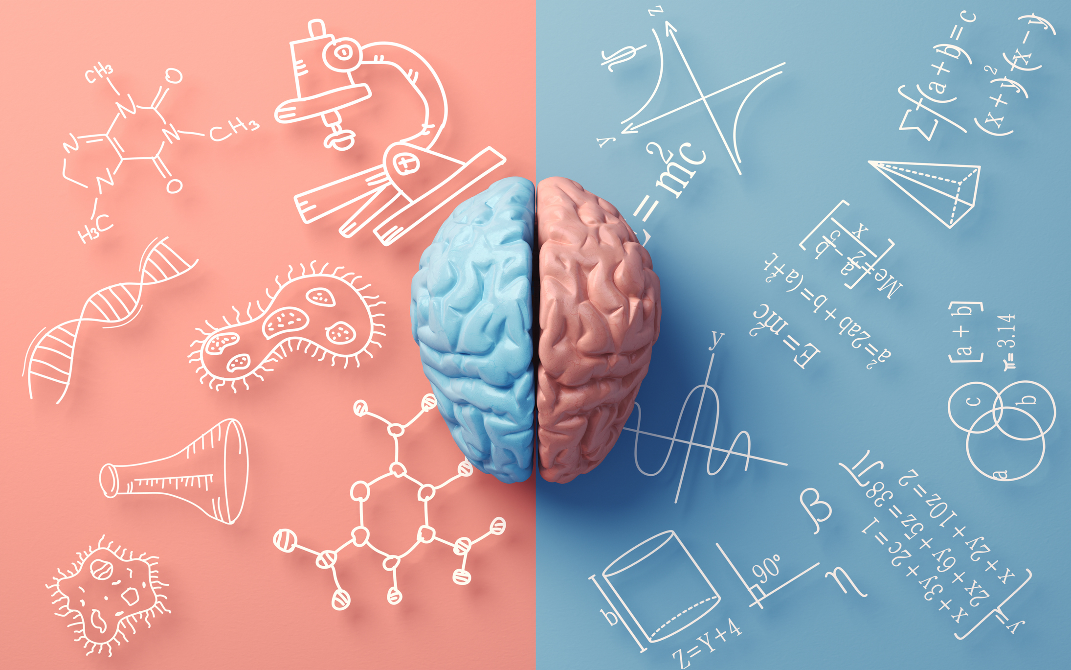 男性,女性,青色,ピンク